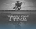 Öppen enhet / Open Entity (2019) exhibition poster, photo: Evelin Tamm